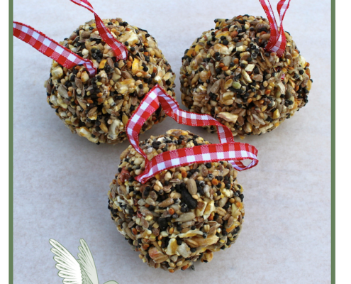 Activities for Older Adults: Making a Bird Seed Ball