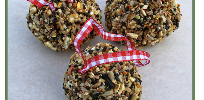 Activities for Older Adults: Making a Bird Seed Ball