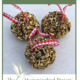 Activities for Older Adults: Making a Bird Seed Ball