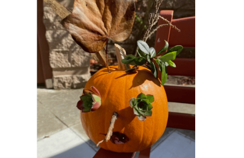 Fall Activities to Engage Dementia Patients