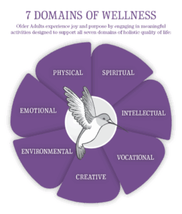 Seven Domains of Wellness