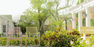 Outdoor Engagement in Your Backyard