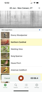 Merlin Bird ID -- a tool to increase outdoor engagement