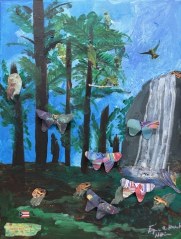 Flights of Imagination_Rainforest