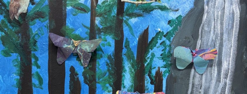 Flights of Imagination_Rainforest