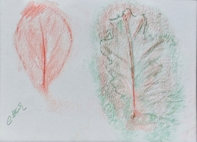 Flights of Imagination_Art