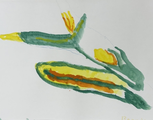 Flights of Imagination_Tulip_3