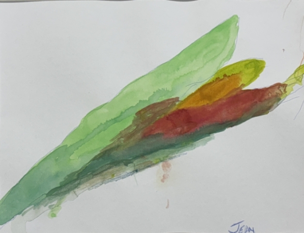 Flights of Imagination_Tulip_2