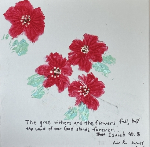 Flights of Imagination